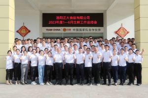 總結過去，計劃未來，協(xié)同創(chuàng)新，再創(chuàng)佳績！洛陽正大舉行2023年上半年工作總結會議